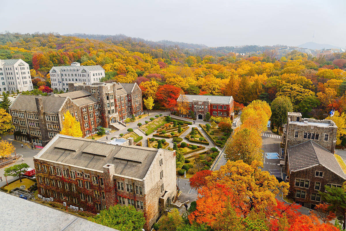 ND student awarded competitive Freeman-ASIA scholarship for study abroad program in South Korea | Study Abroad | University of Notre Dame