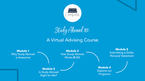 Study Abroad Advising Course Graphic