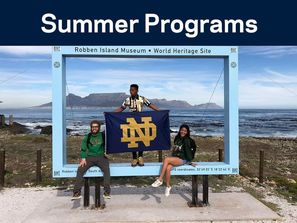 Summer Programs Button