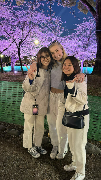 Night Cherry Blossom Festival2