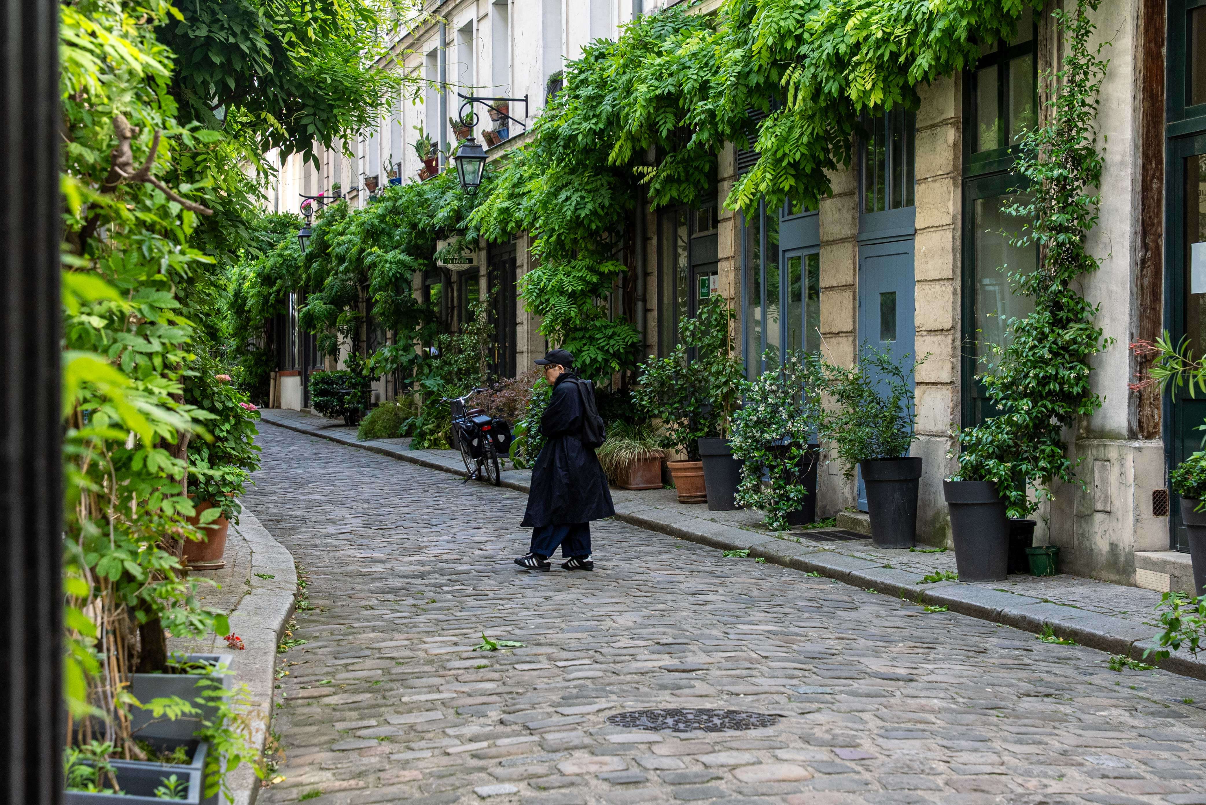 A person in black walks along a curving cobblestone street, buildings draped in lush green ivy and potted plants.